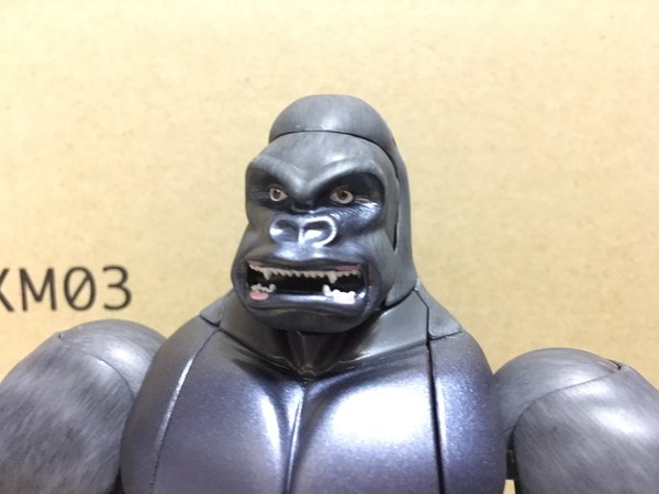 MP 32 Masterpiece Optimus Primal   In Hand Photos Surface On Twitter  (8 of 81)